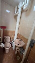 Blk 556 Jurong West Street 42 (Jurong West), HDB Executive #636434241